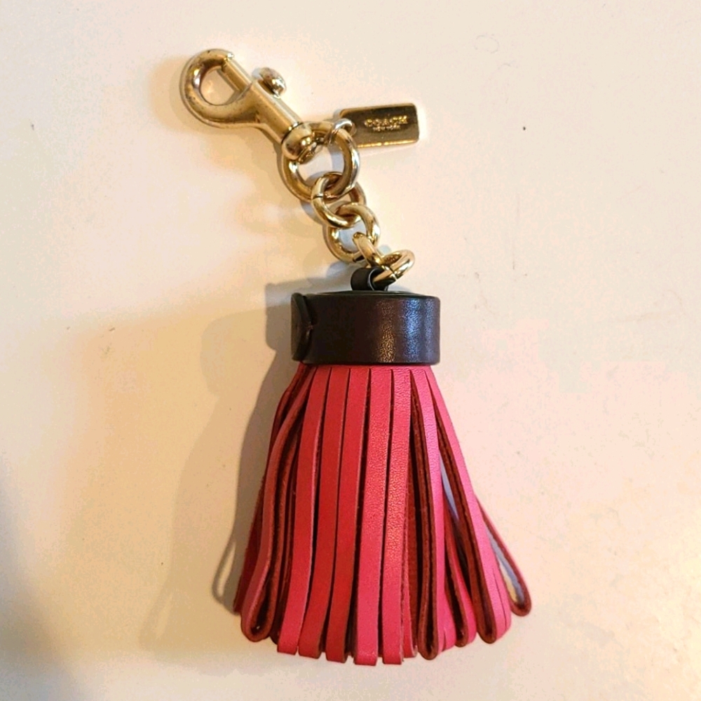 Coach keychain